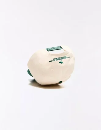 Geborduurde pet – Accessoires
